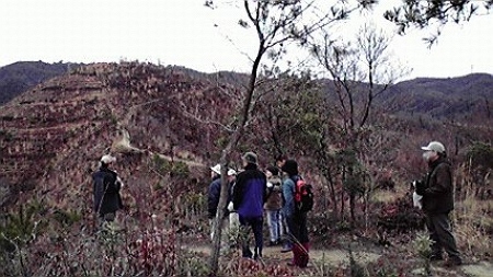 2010030710450000-T.jpg