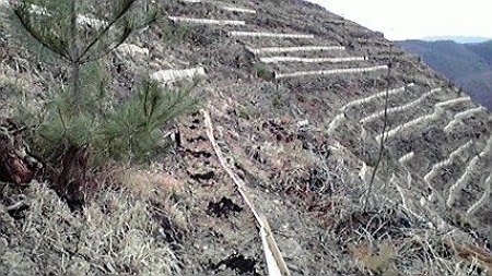 2010030711250000-T.jpg