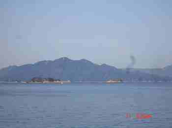 DSC00446_s.jpg