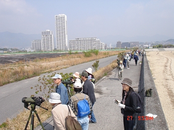 DSC01232_s.jpg