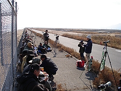 DSC01262_M.jpg