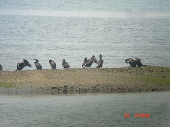 DSC01290_s.jpg