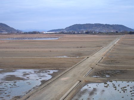 DSC01322-T.jpg