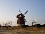 DSC01564-M.jpg