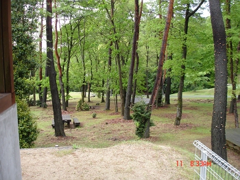 DSC01674_s.jpg