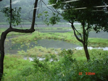 DSC02138_m.jpg