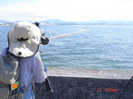 DSC03244_m.jpg