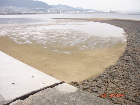 DSC04065_m.jpg