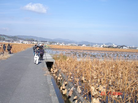 DSC04313_m.jpg