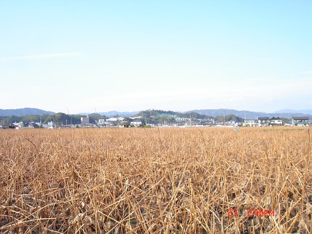 DSC04333_m.jpg