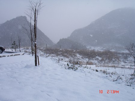 DSC04698-T.jpg