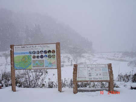 DSC04709-T.jpg