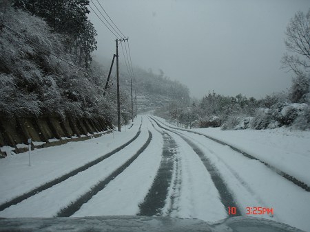 DSC04732-T.jpg
