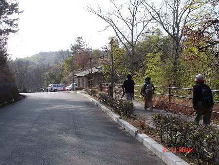 DSC05534-T.jpg