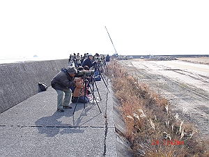 DSC05709_M.jpg
