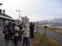 DSC05919-S.jpg