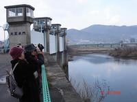 DSC05928-S.jpg