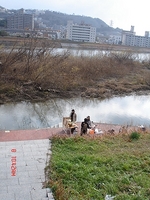DSC05949_M.jpg
