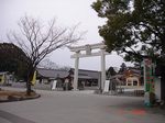 DSC06008_M.jpg