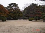 DSC06012_M.jpg