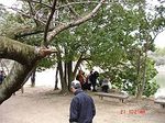 DSC06016_S.jpg