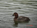 DSC06019_M.jpg