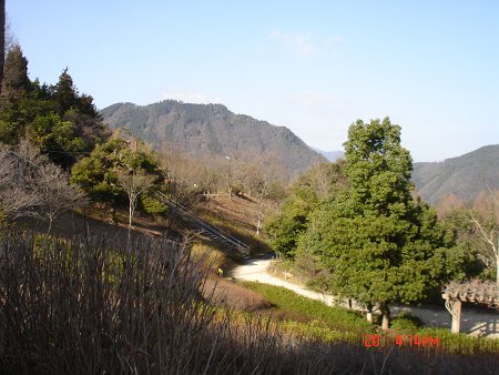 DSC06343-T.jpg