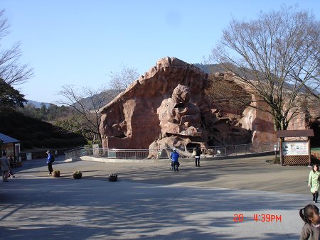 DSC0636005-T.jpg