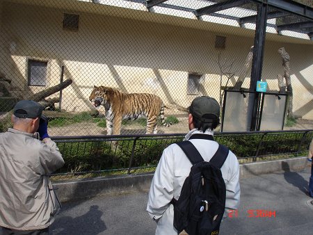 DSC06382-T.jpg