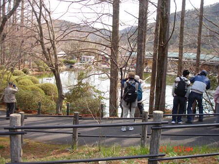 DSC06389-T.jpg