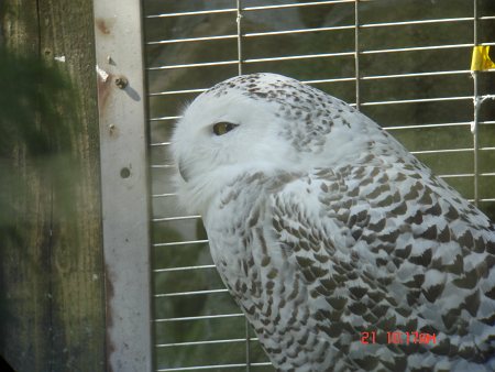 DSC06396-T.jpg