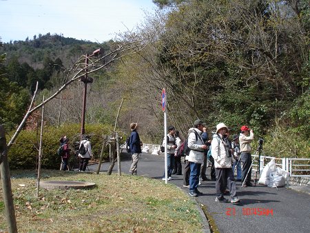 DSC06403-T.jpg