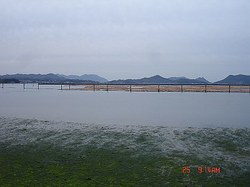 DSC06586_M.jpg