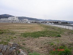 DSC06593_M.jpg