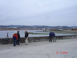 DSC06594_M.jpg