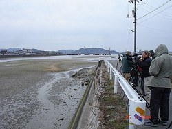 DSC06598_M.jpg
