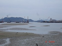 DSC06606_M.jpg
