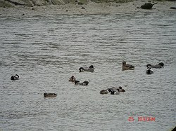 DSC06609_M.jpg
