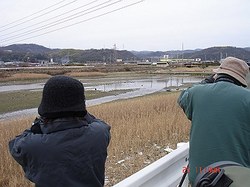 DSC06616_M.jpg