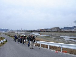 DSC06618_M.jpg