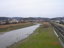 DSC06627_M.jpg