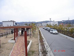 DSC06642_M.jpg