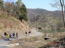 DSC06700_M.jpg