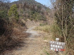 DSC06708_M.jpg