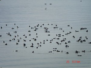 DSC06746_M.jpg