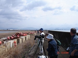 DSC06754_M.jpg
