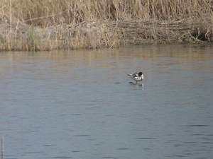 DSC06758_M.jpg