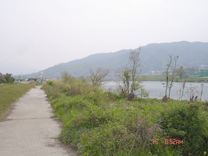 DSC06978-S.jpg