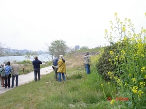 DSC06981-S.jpg