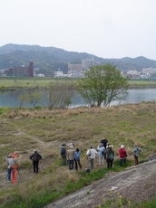 DSC06986-S-S.jpg